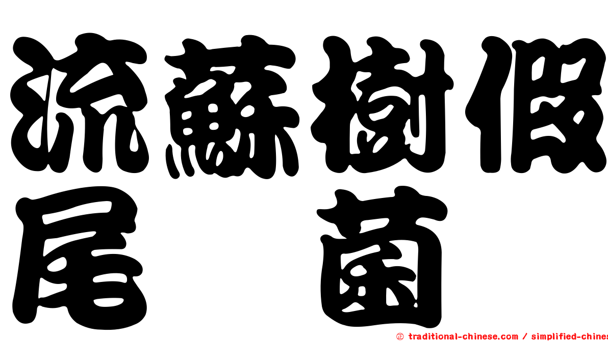 流蘇樹假尾孢菌