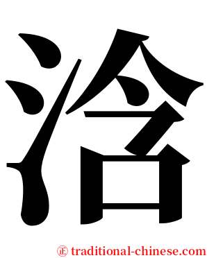 浛 serif font
