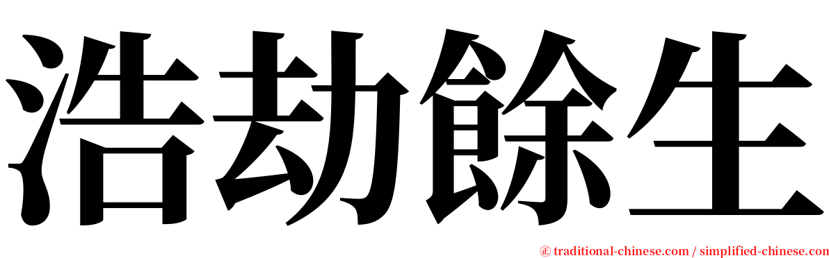 浩劫餘生 serif font