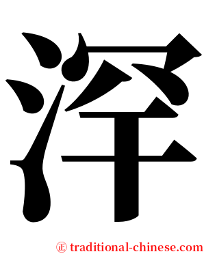 浫 serif font