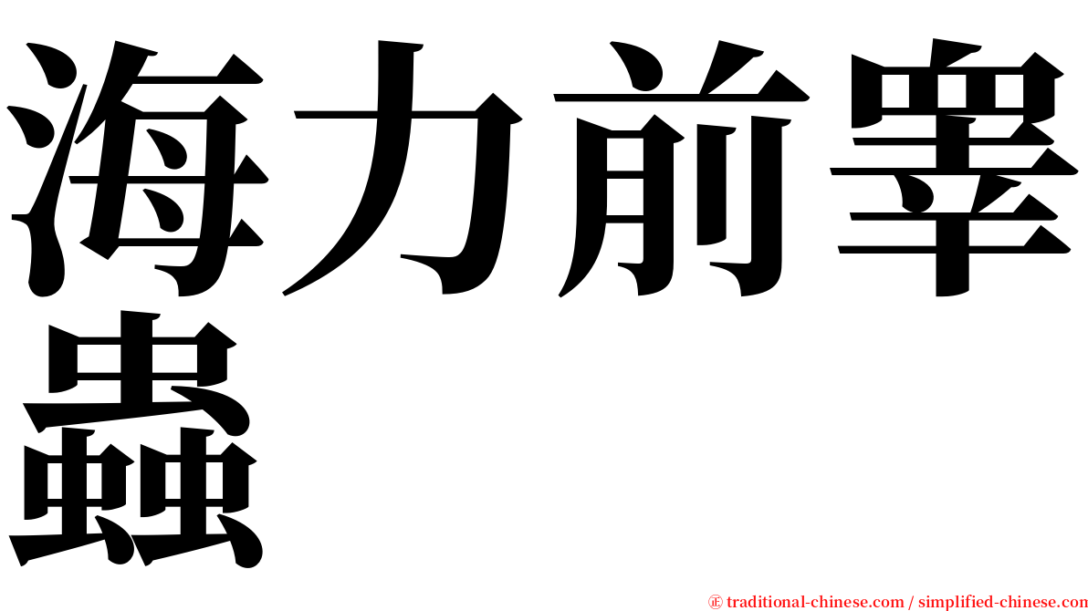 海力前睾蟲 serif font