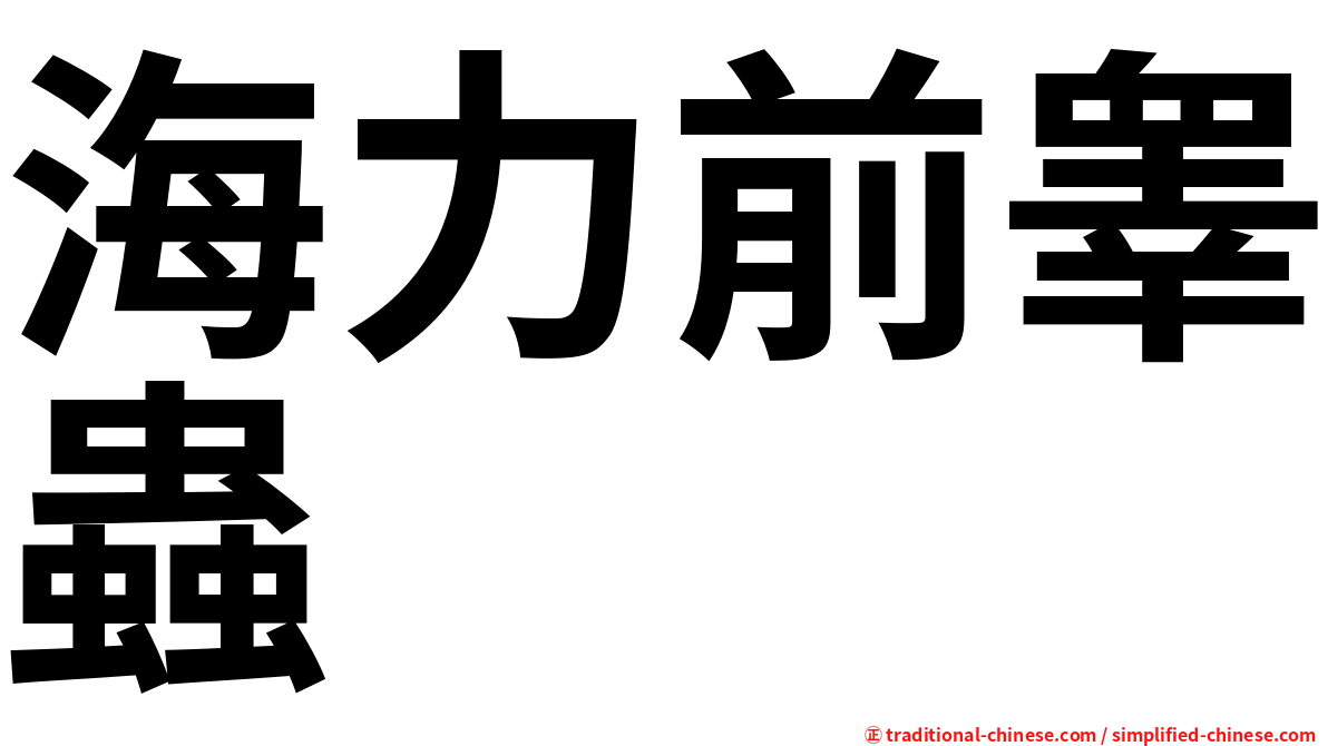 海力前睾蟲
