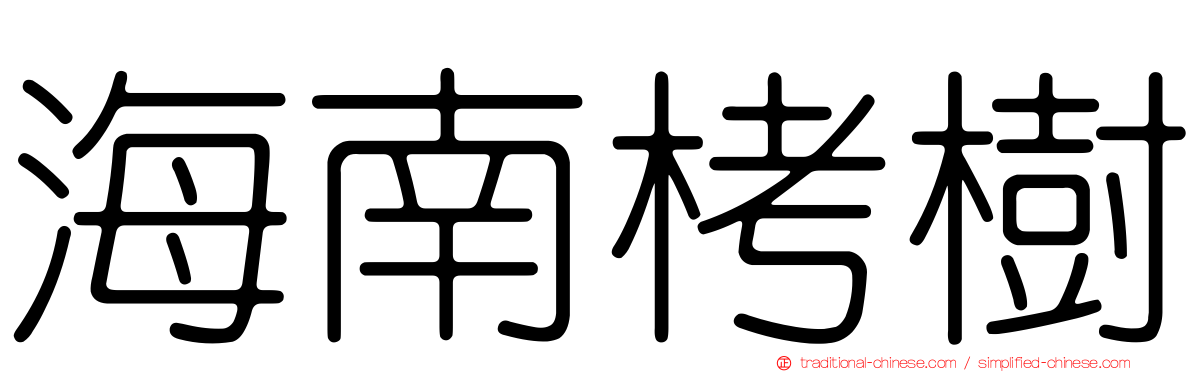 海南栲樹