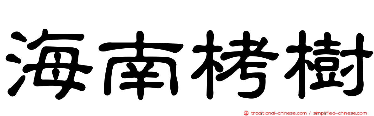 海南栲樹