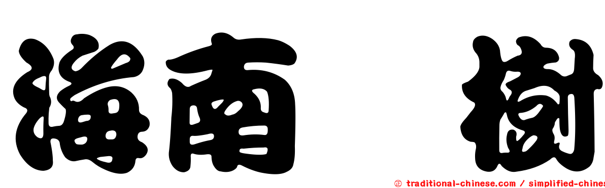 海南栲樹