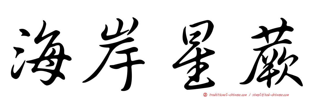 海岸星蕨