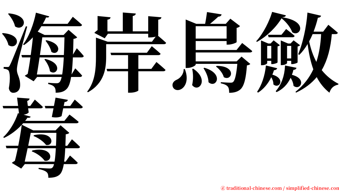 海岸烏斂莓 serif font