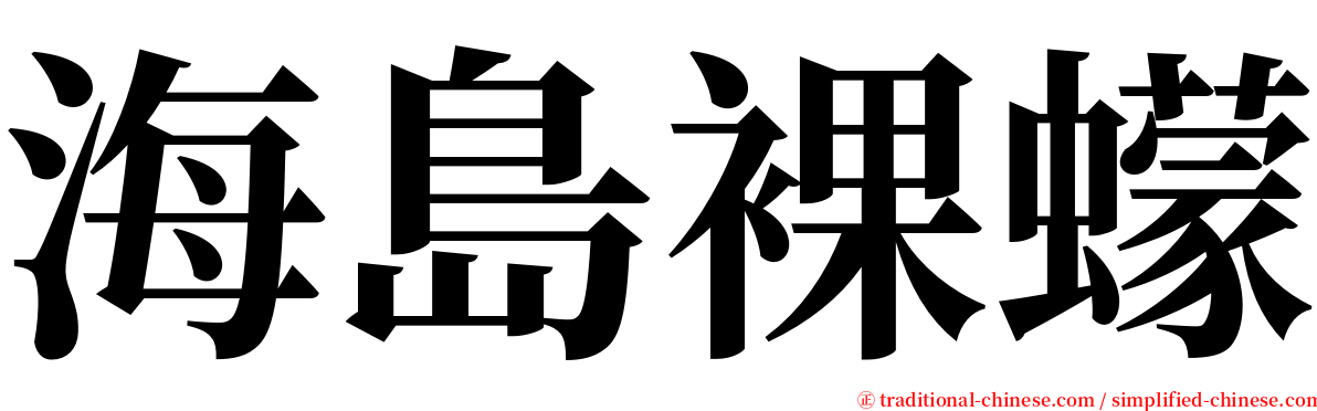 海島裸蠓 serif font