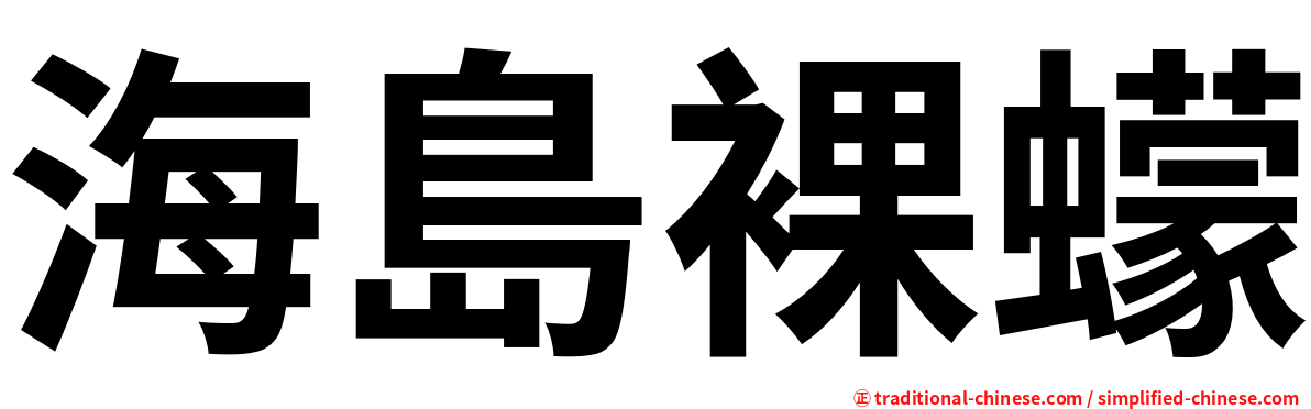 海島裸蠓