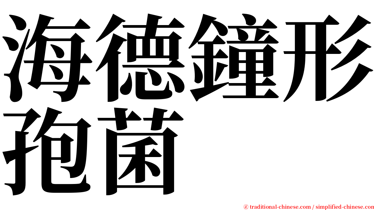 海德鐘形孢菌 serif font