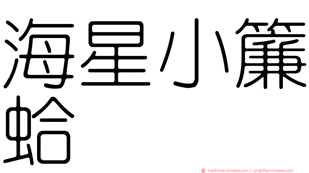 海星小簾蛤