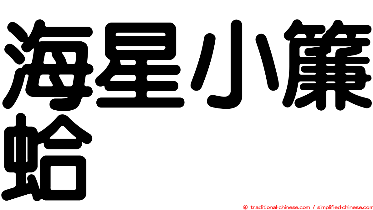 海星小簾蛤