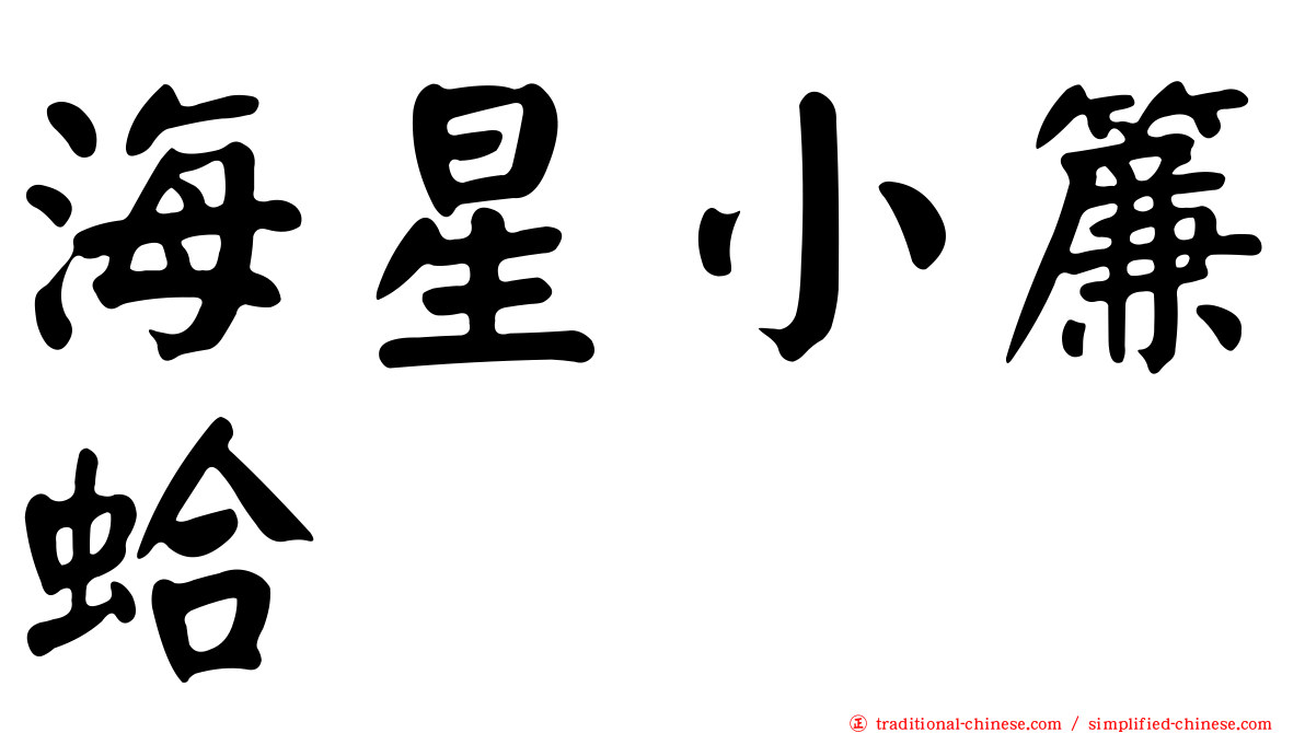 海星小簾蛤
