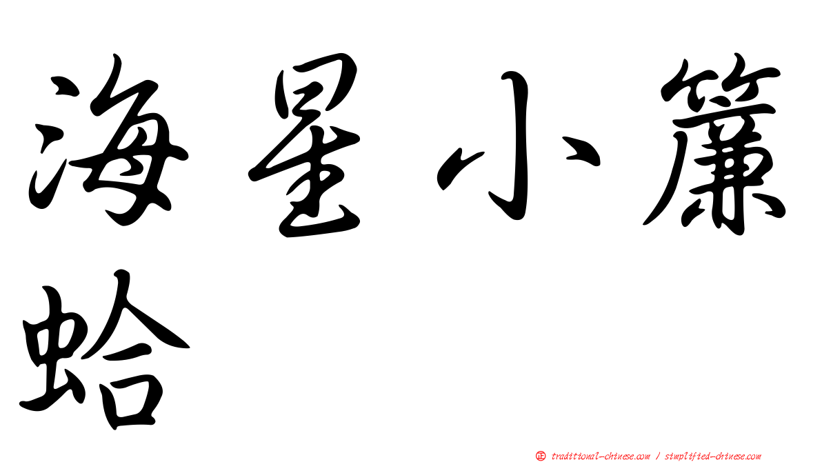 海星小簾蛤