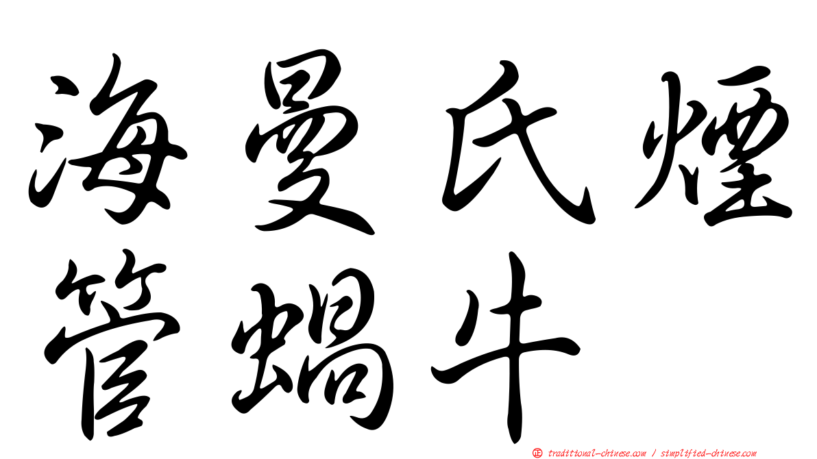 海曼氏煙管蝸牛