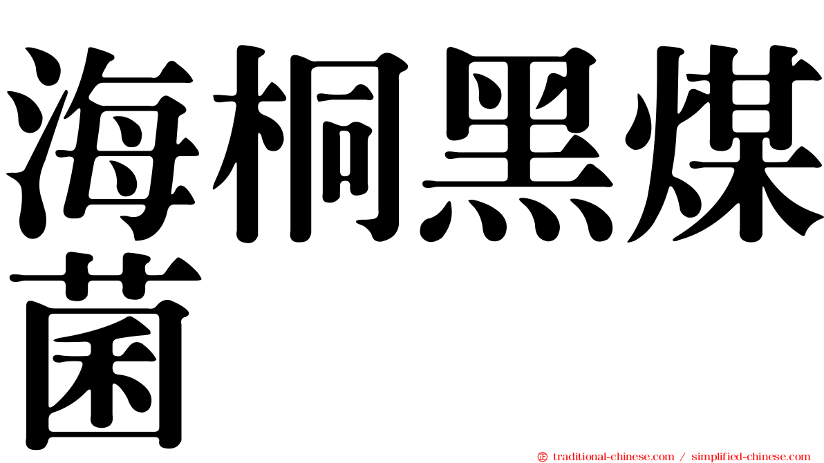 海桐黑煤菌