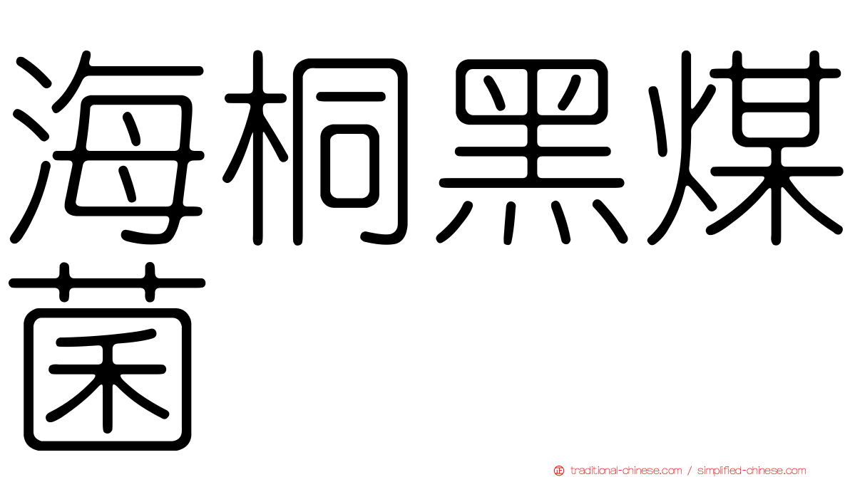海桐黑煤菌
