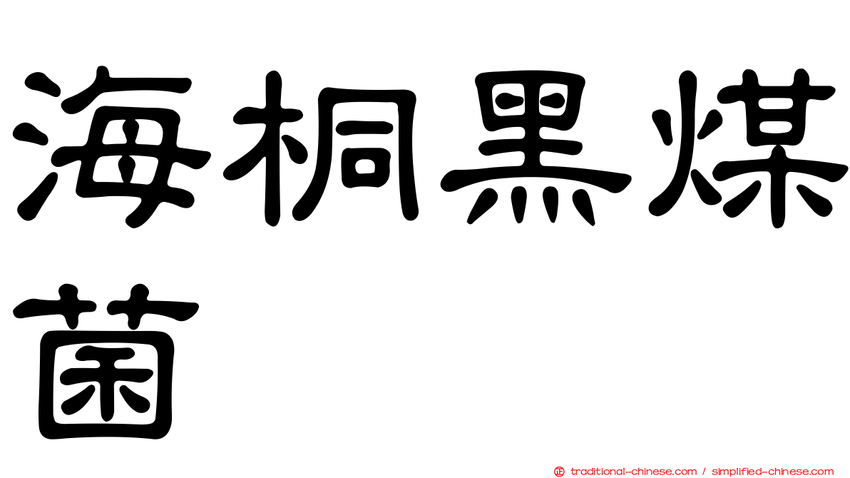 海桐黑煤菌