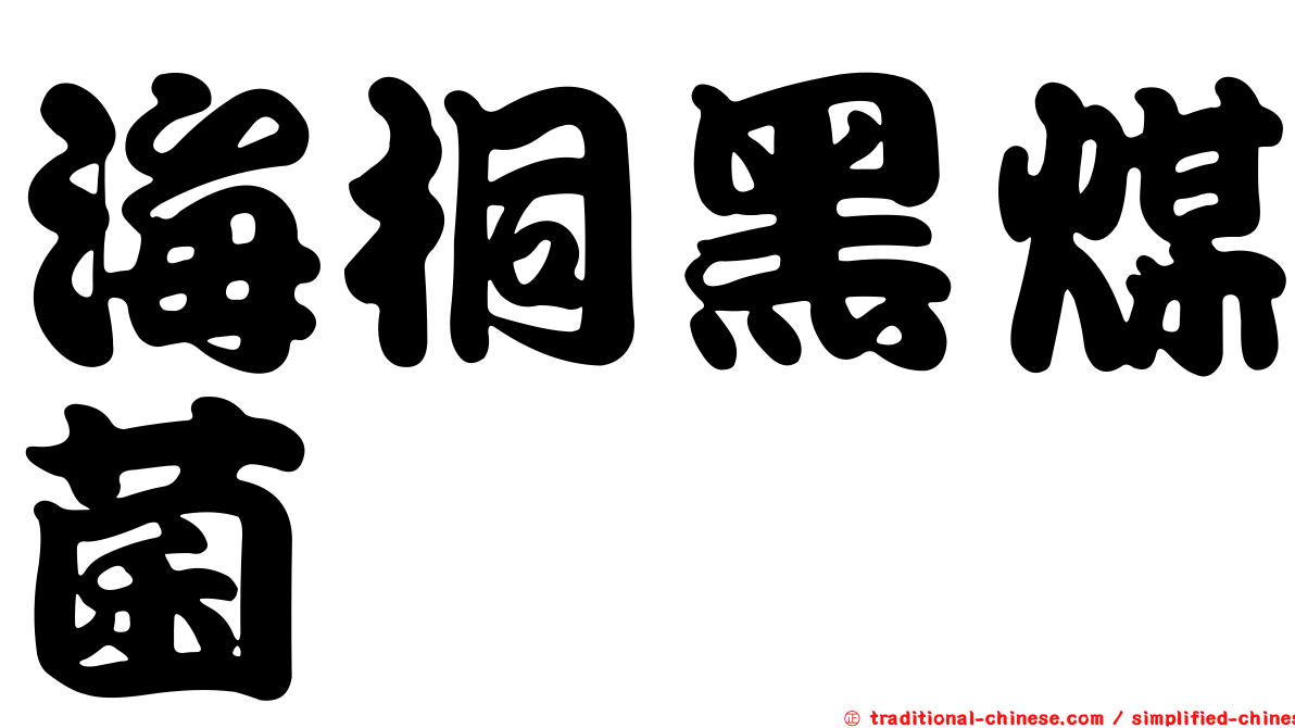 海桐黑煤菌
