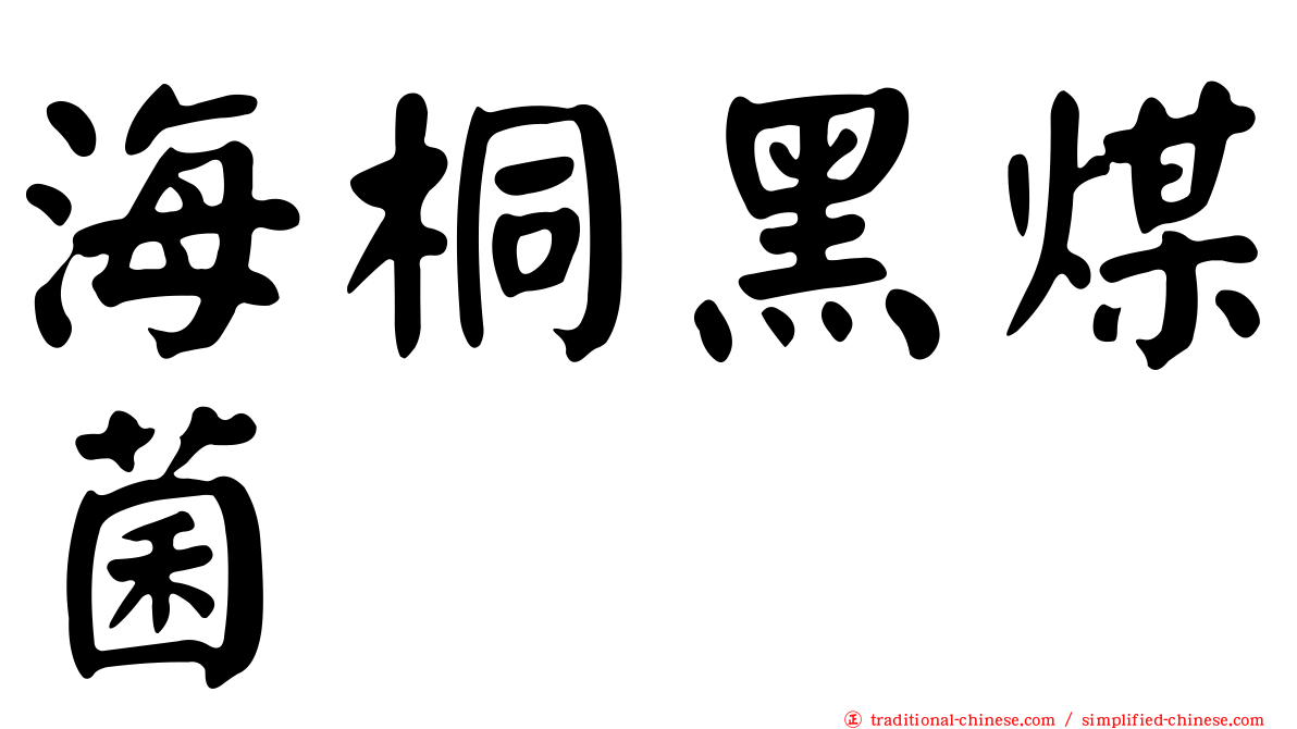 海桐黑煤菌