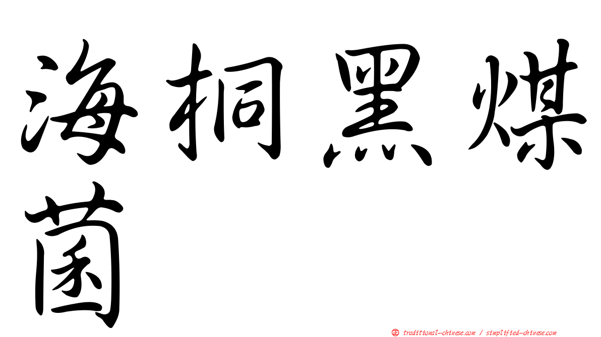 海桐黑煤菌