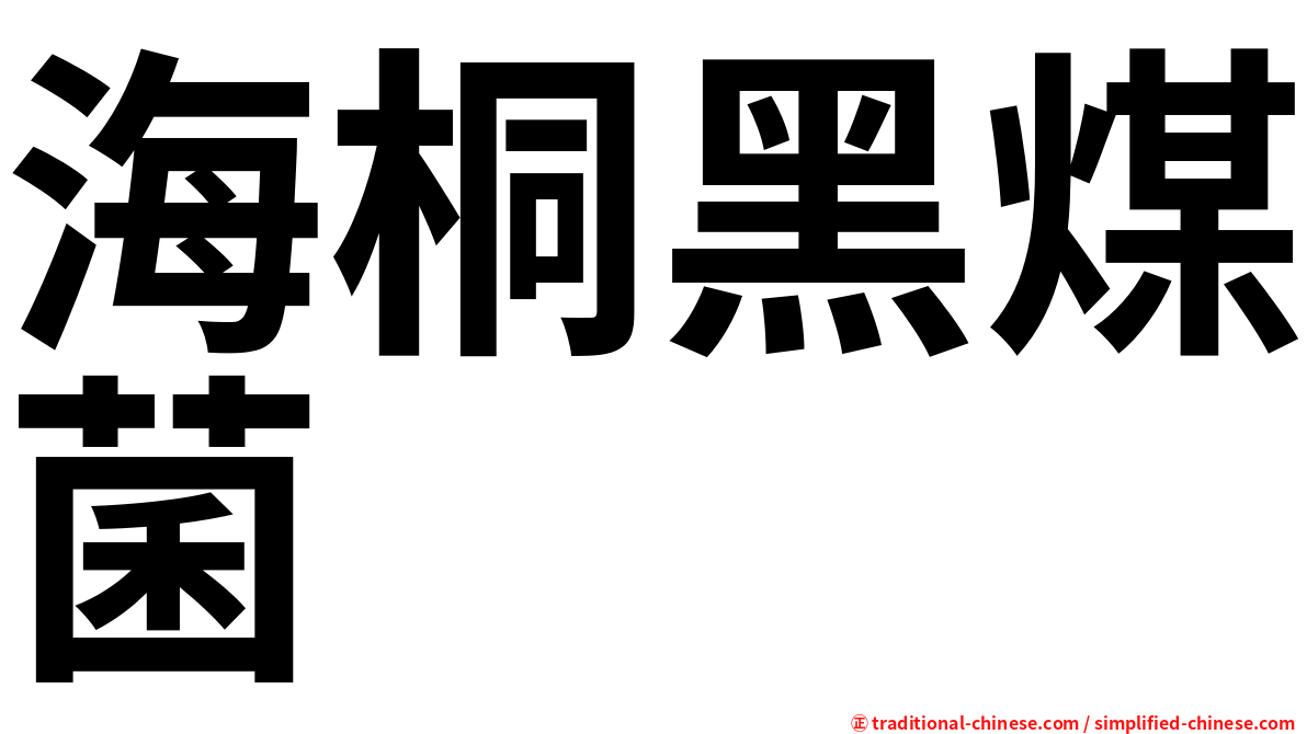 海桐黑煤菌