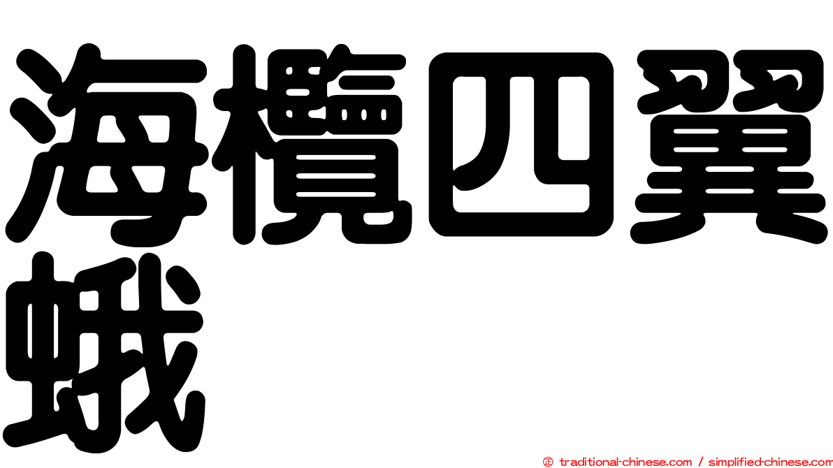 海欖四翼蛾