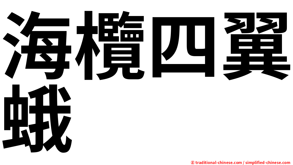 海欖四翼蛾