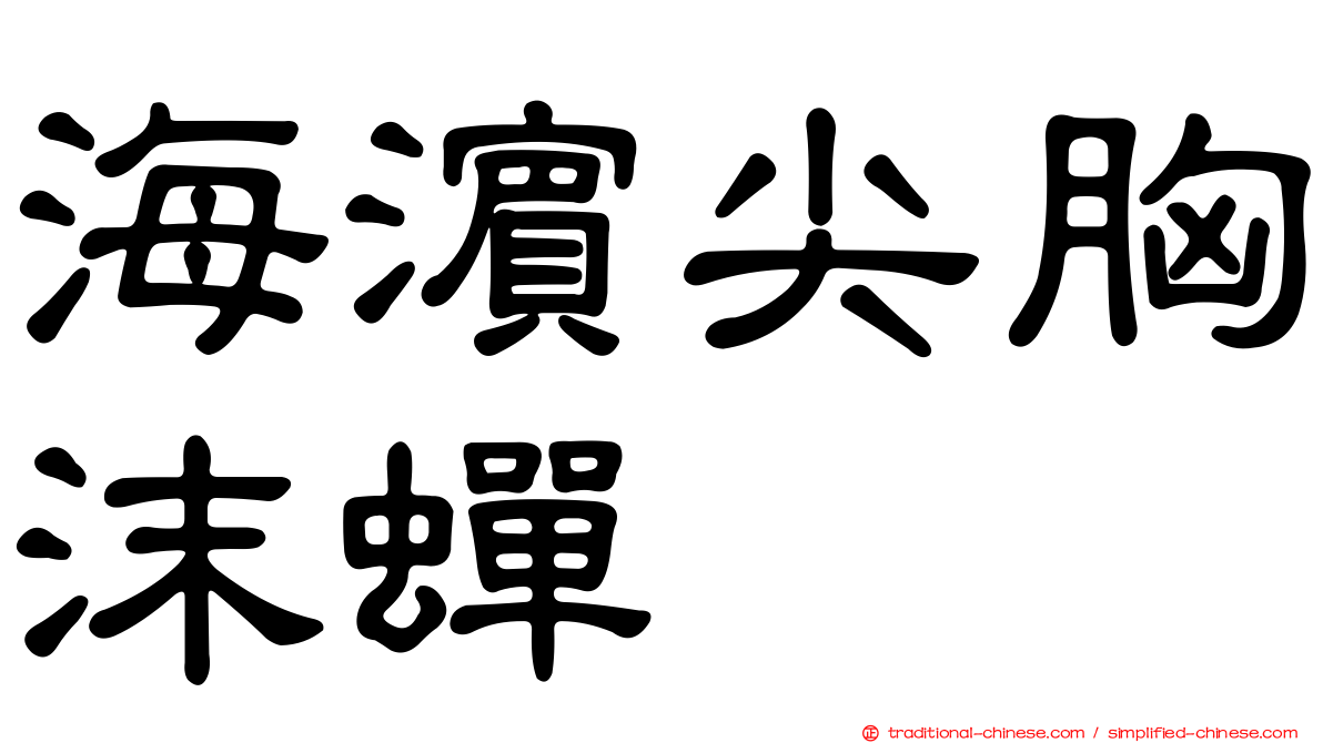 海濱尖胸沫蟬