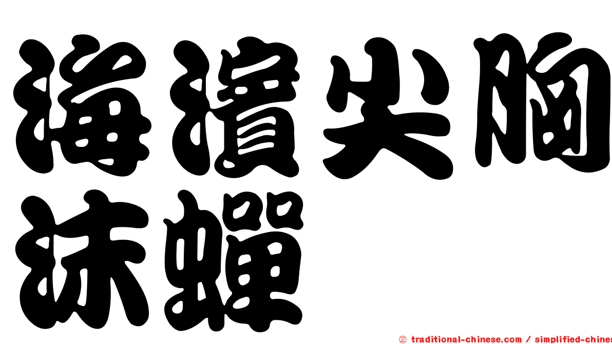 海濱尖胸沫蟬