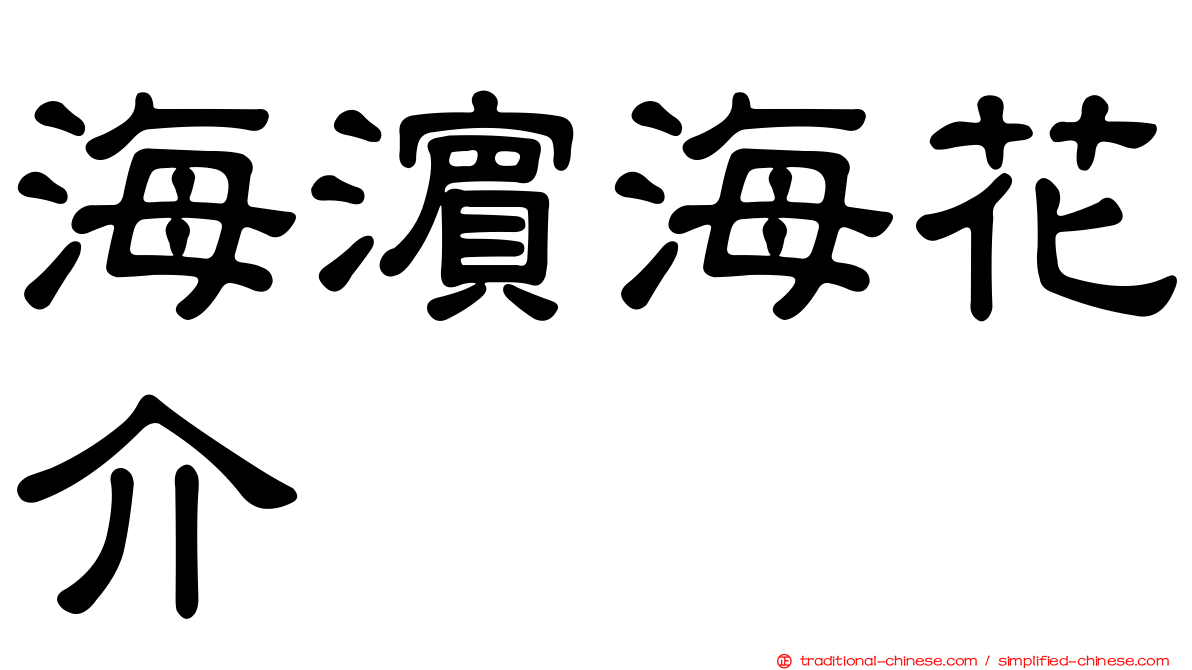 海濱海花介