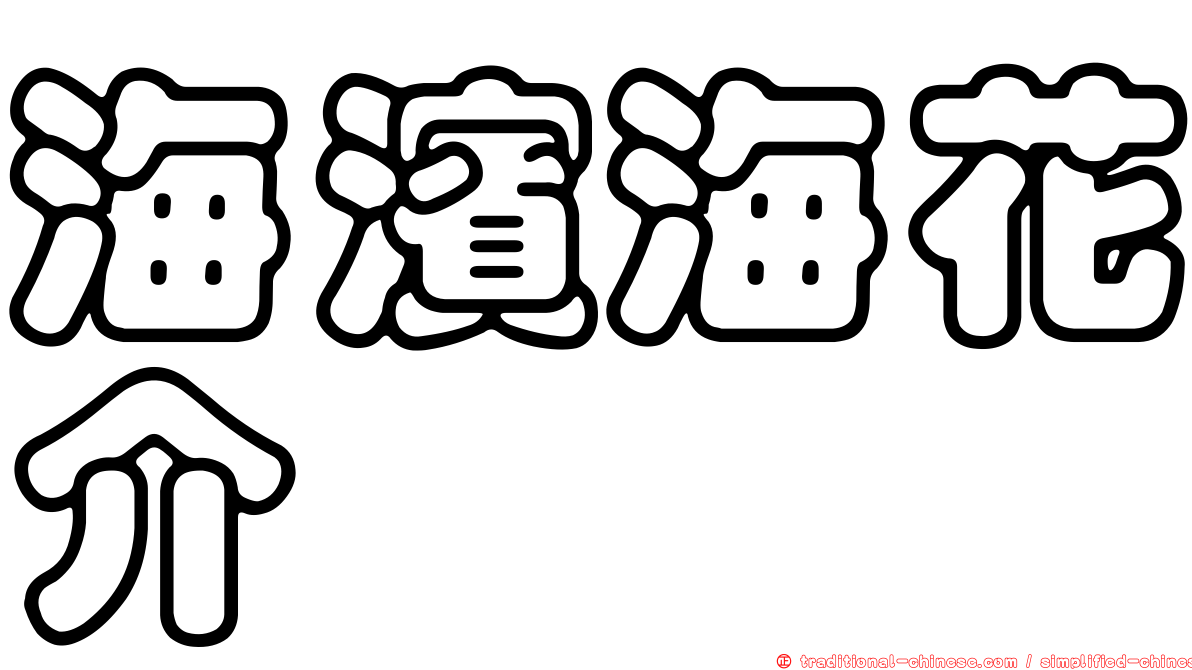 海濱海花介