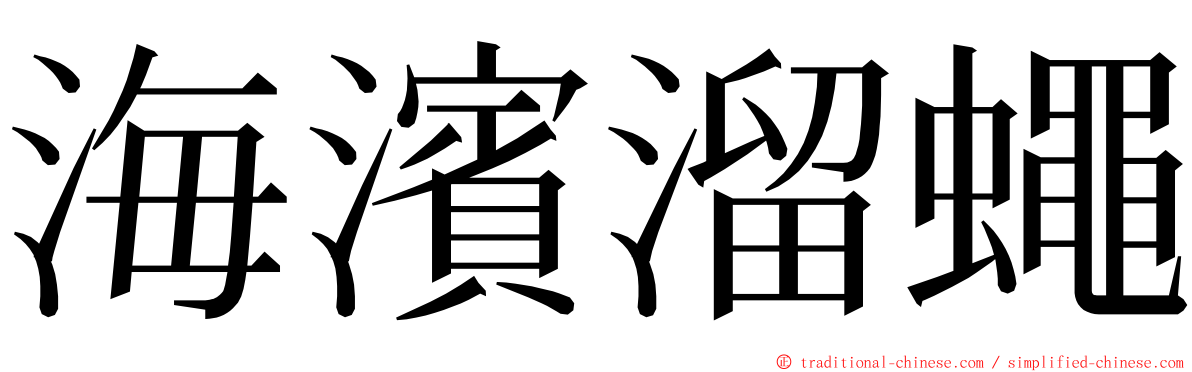 海濱溜蠅 ming font