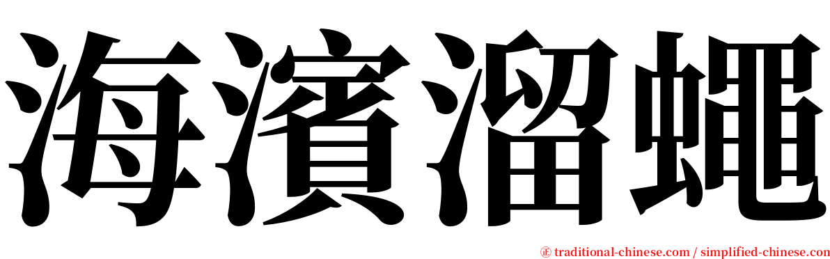 海濱溜蠅 serif font