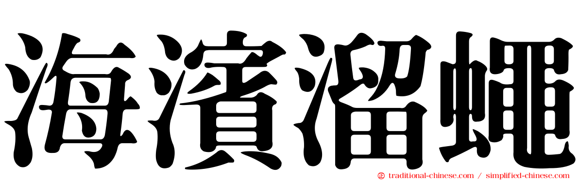 海濱溜蠅