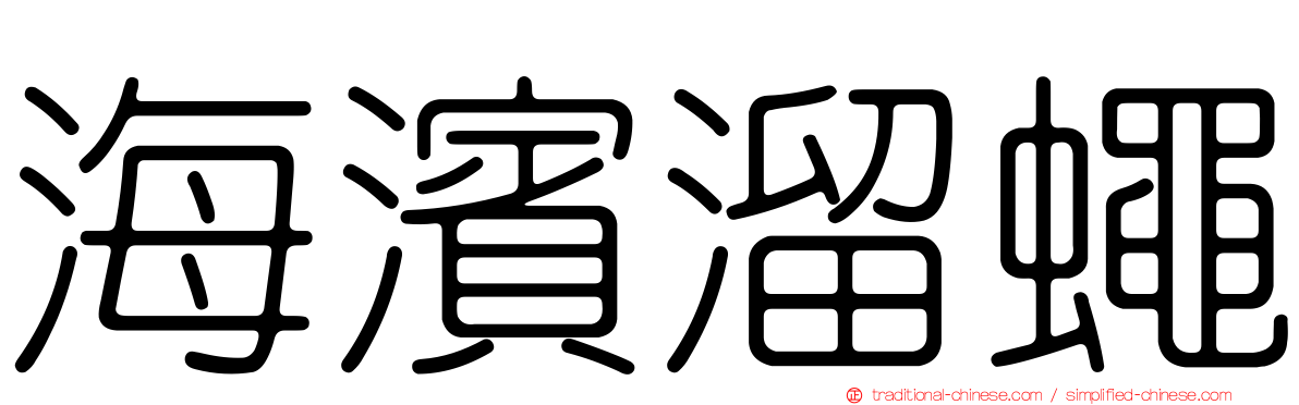 海濱溜蠅
