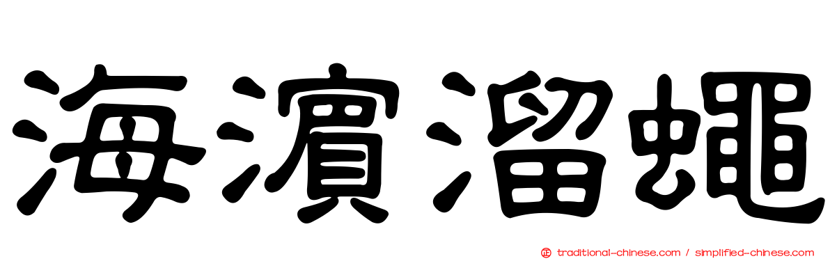 海濱溜蠅
