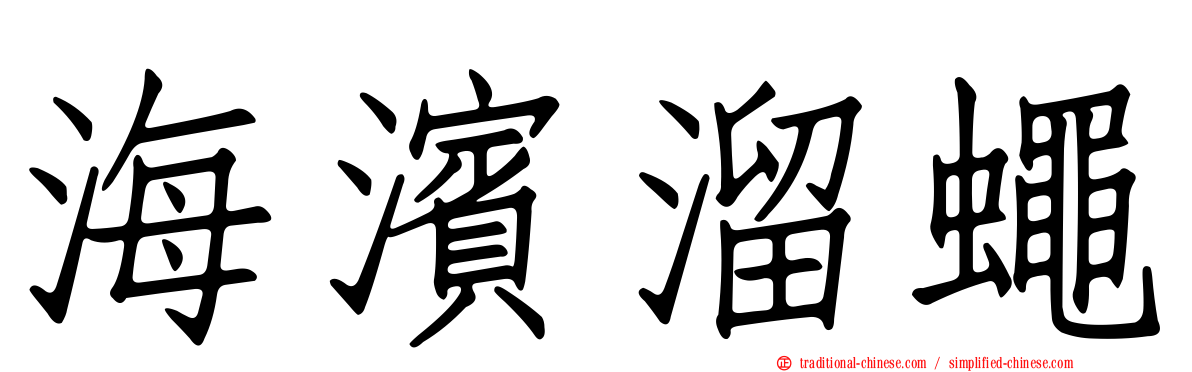 海濱溜蠅