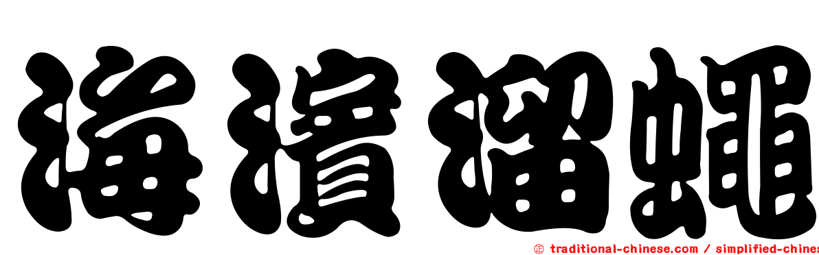 海濱溜蠅
