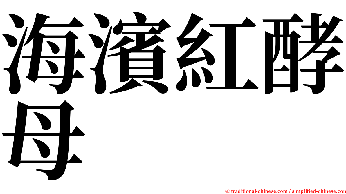 海濱紅酵母 serif font