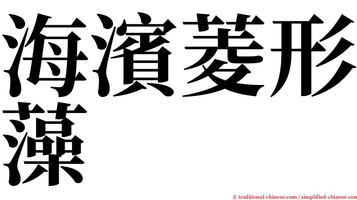 海濱菱形藻 serif font