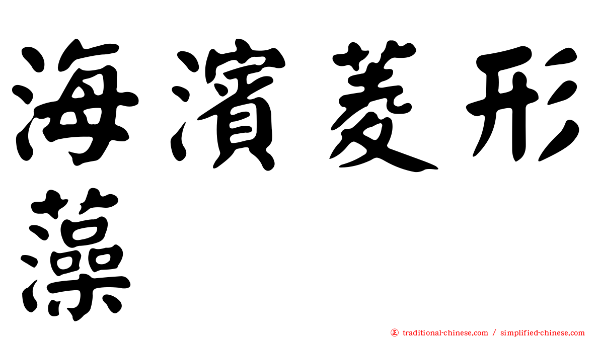海濱菱形藻