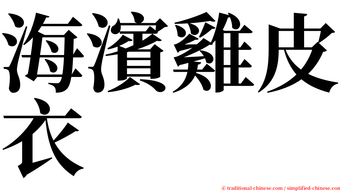 海濱雞皮衣 serif font