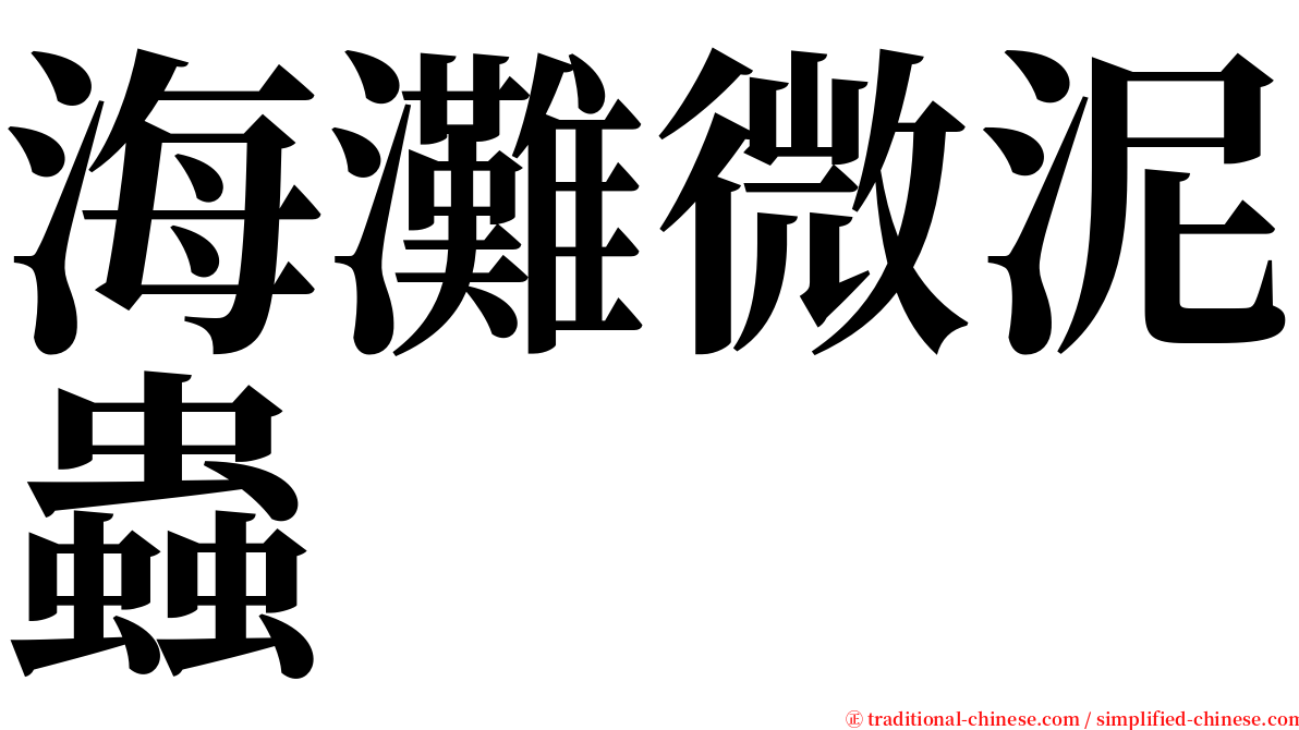海灘微泥蟲 serif font
