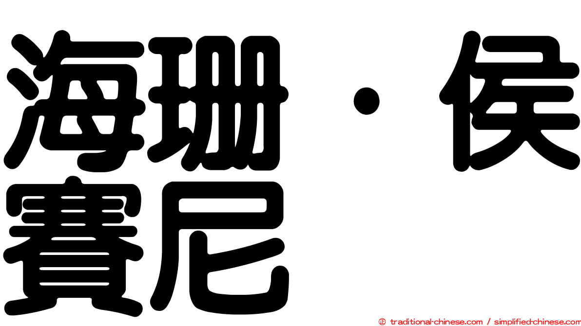 海珊·侯賽尼
