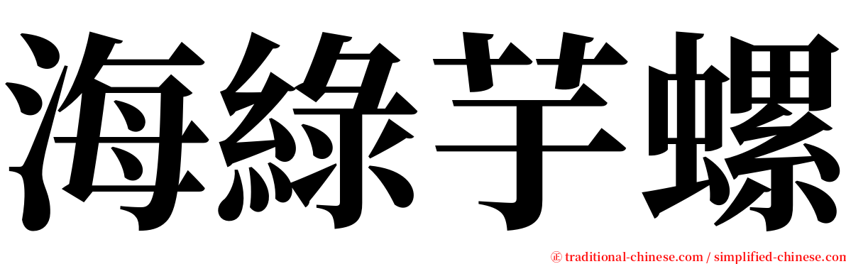 海綠芋螺 serif font