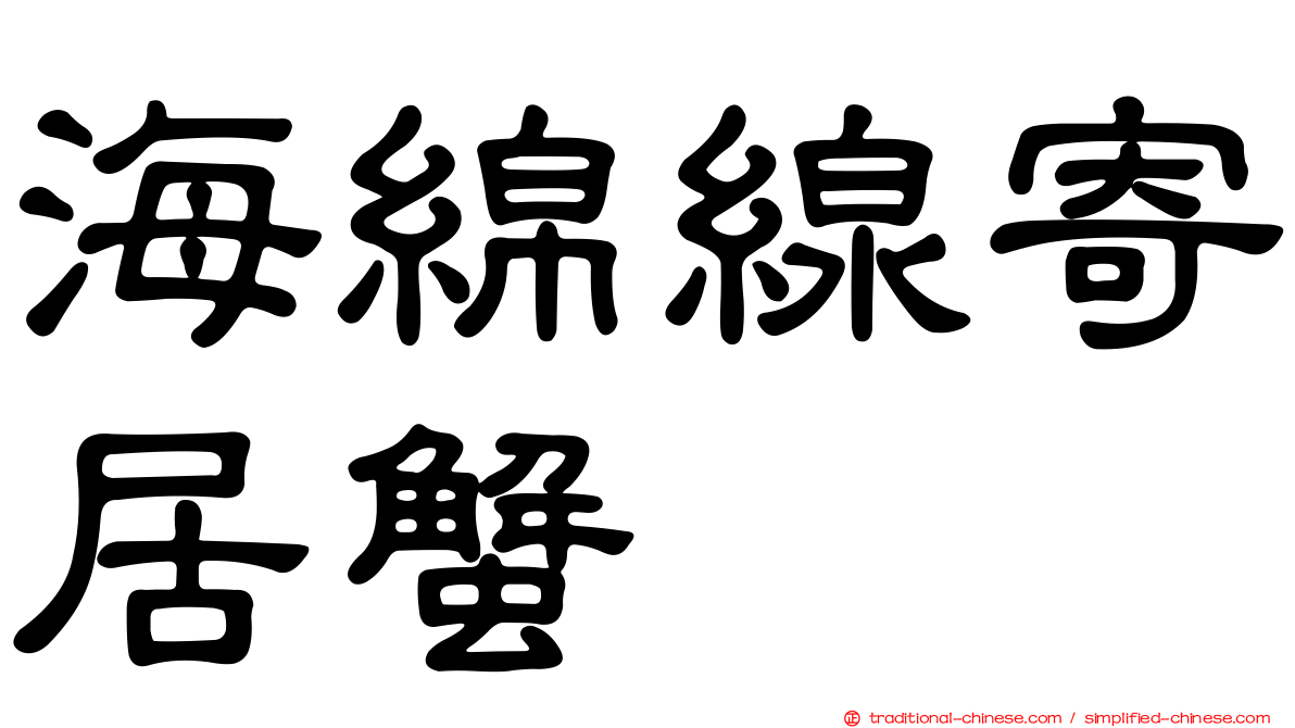 海綿線寄居蟹