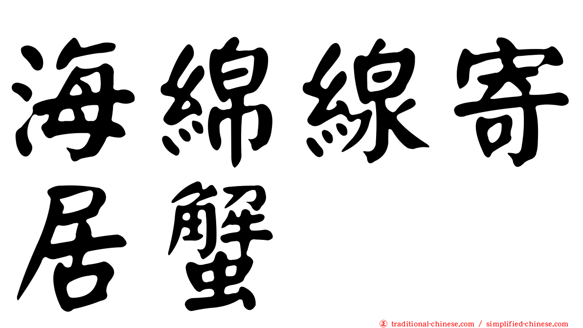 海綿線寄居蟹