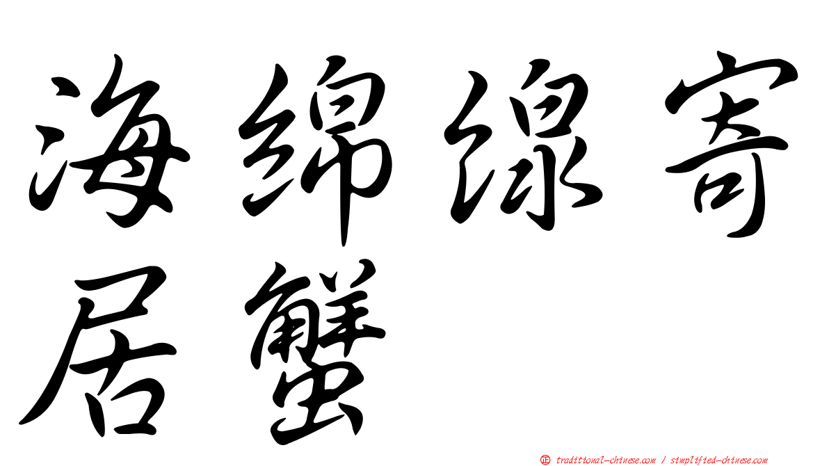 海綿線寄居蟹