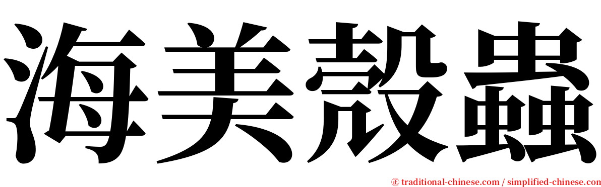 海美殼蟲 serif font